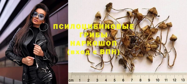 МДПВ Белокуриха